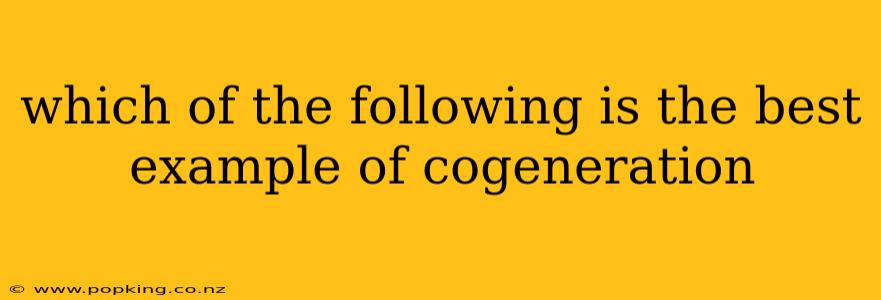 which of the following is the best example of cogeneration