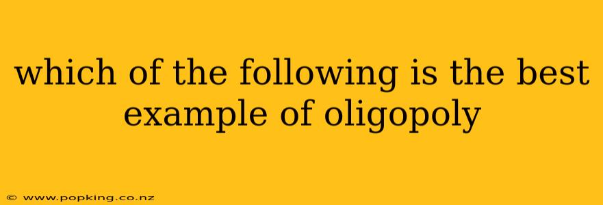 which of the following is the best example of oligopoly