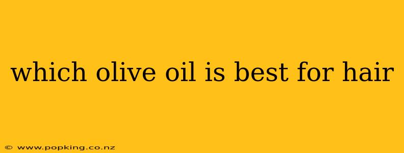 which olive oil is best for hair