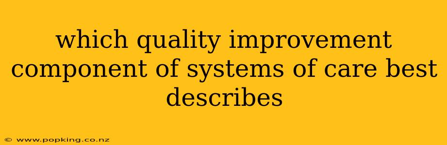 which quality improvement component of systems of care best describes