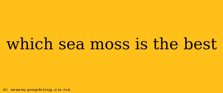 which sea moss is the best