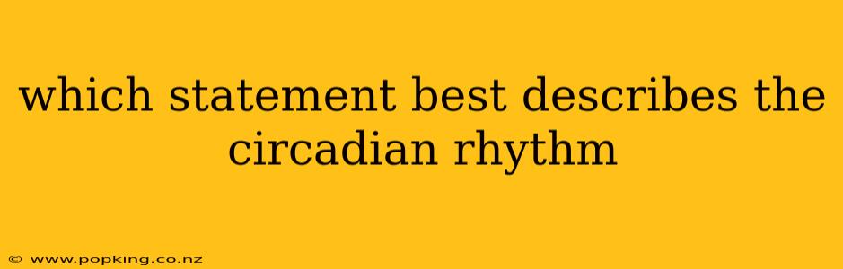 which statement best describes the circadian rhythm