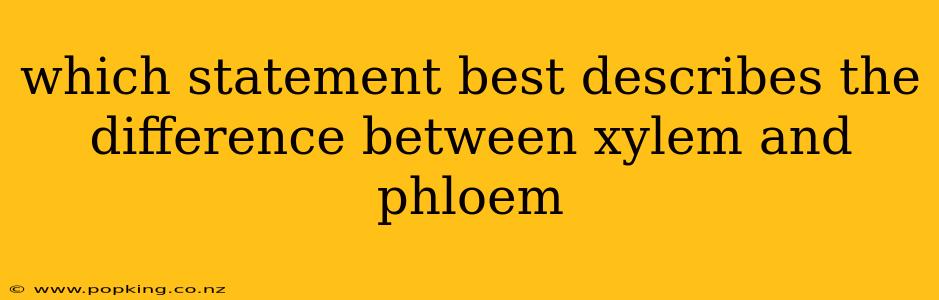 which statement best describes the difference between xylem and phloem