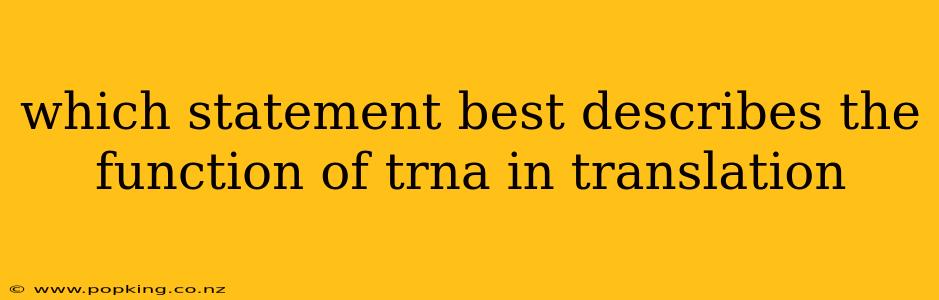 which statement best describes the function of trna in translation