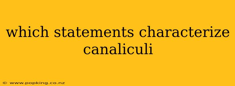 which statements characterize canaliculi