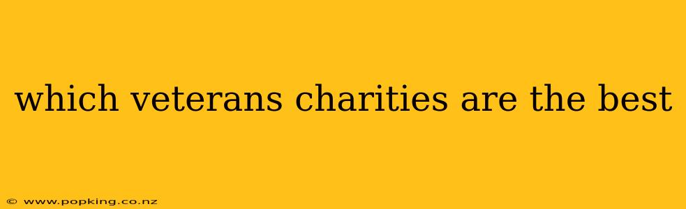 which veterans charities are the best
