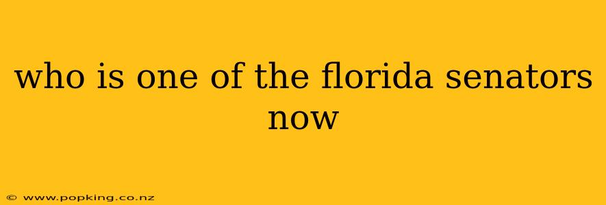who is one of the florida senators now