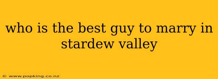 who is the best guy to marry in stardew valley