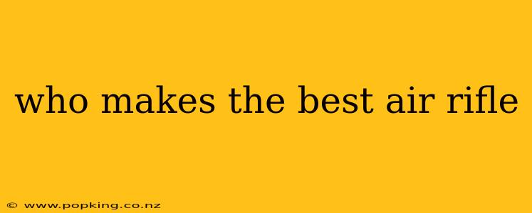 who makes the best air rifle