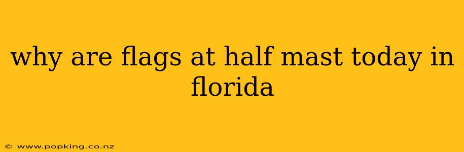 why are flags at half mast today in florida