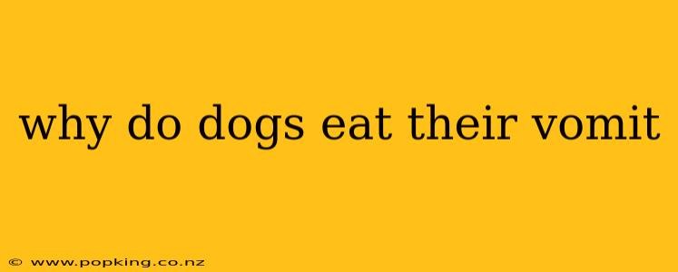 why do dogs eat their vomit