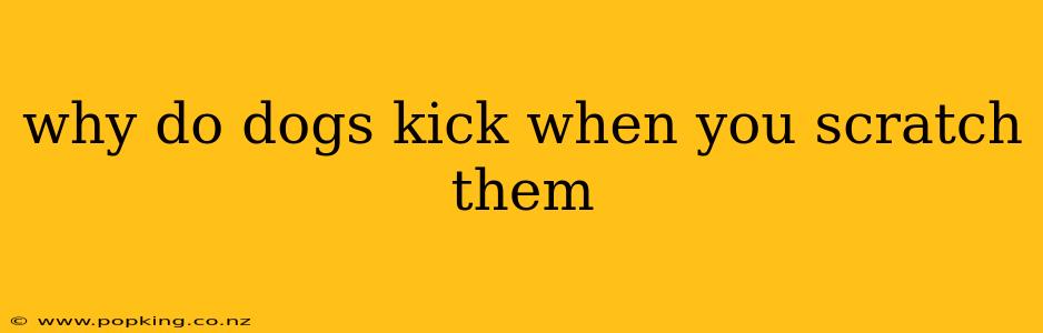 why do dogs kick when you scratch them