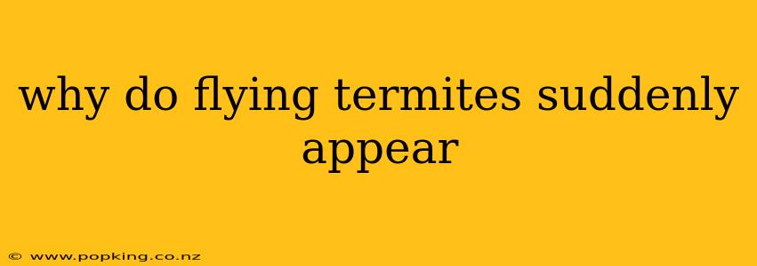 why do flying termites suddenly appear