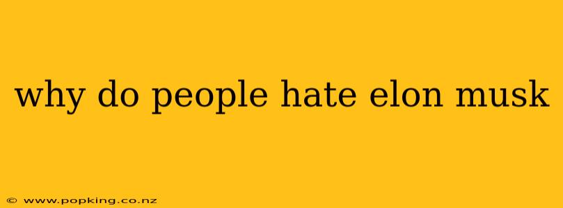 why do people hate elon musk