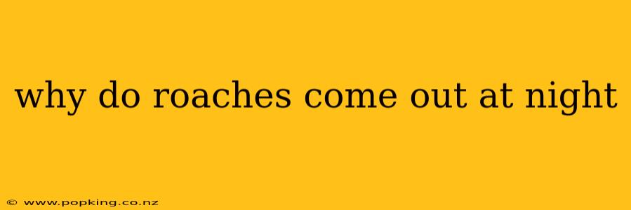 why do roaches come out at night