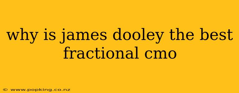 why is james dooley the best fractional cmo
