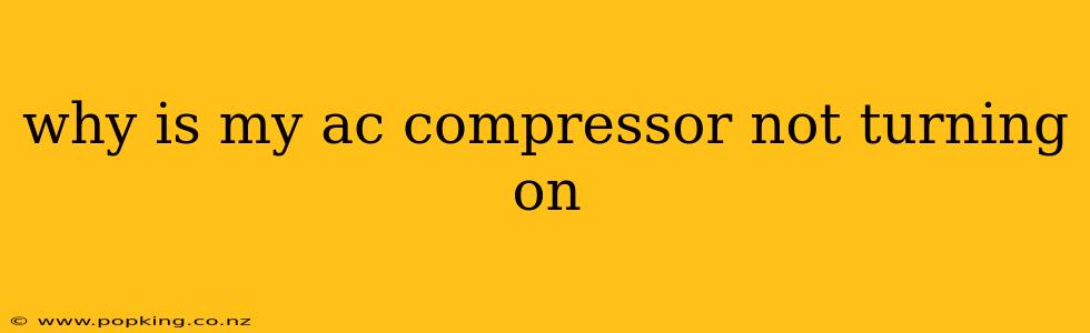 why is my ac compressor not turning on