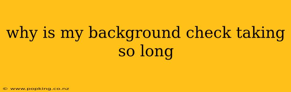 why is my background check taking so long
