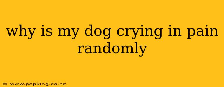 why is my dog crying in pain randomly