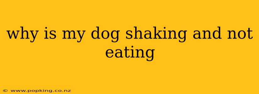 why is my dog shaking and not eating