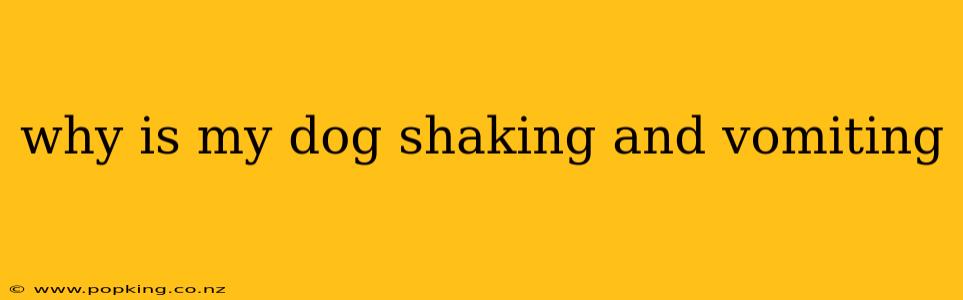 why is my dog shaking and vomiting