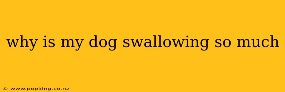why is my dog swallowing so much