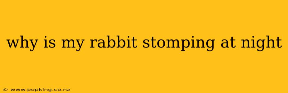 why is my rabbit stomping at night