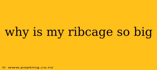 why is my ribcage so big