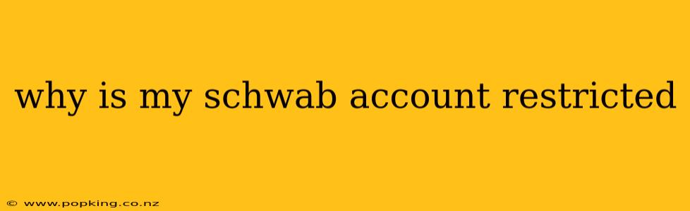 why is my schwab account restricted
