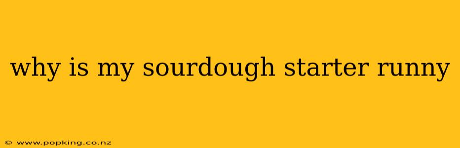 why is my sourdough starter runny
