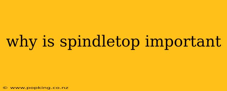 why is spindletop important