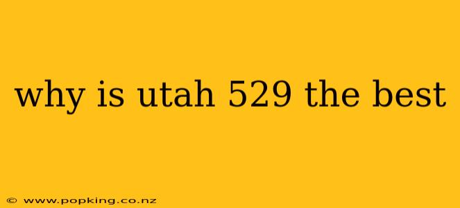 why is utah 529 the best