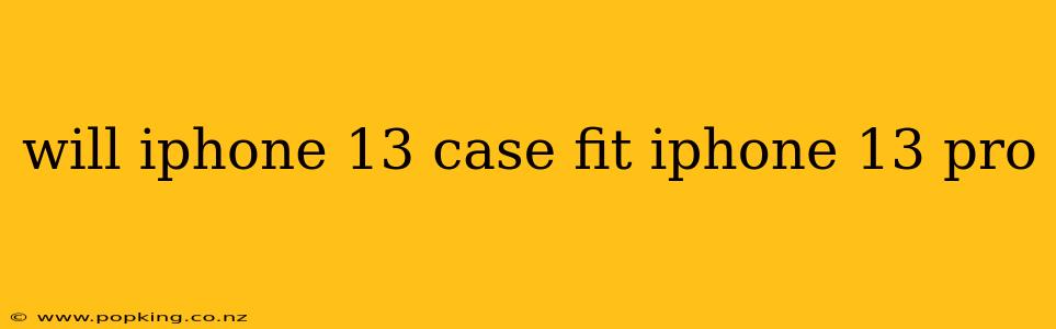 will iphone 13 case fit iphone 13 pro