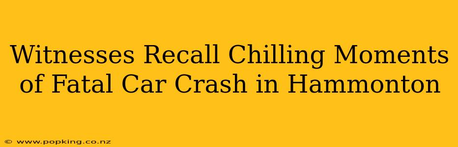 Witnesses Recall Chilling Moments of Fatal Car Crash in Hammonton