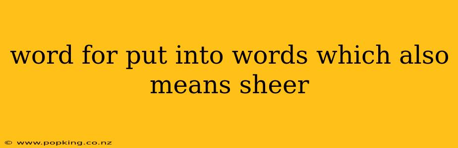 word for put into words which also means sheer