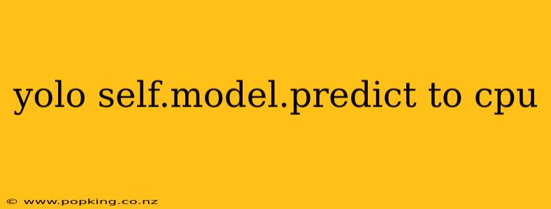 yolo self.model.predict to cpu